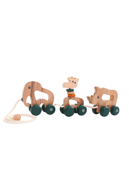 Wooden Pull Along Animal Toy Set | Safari