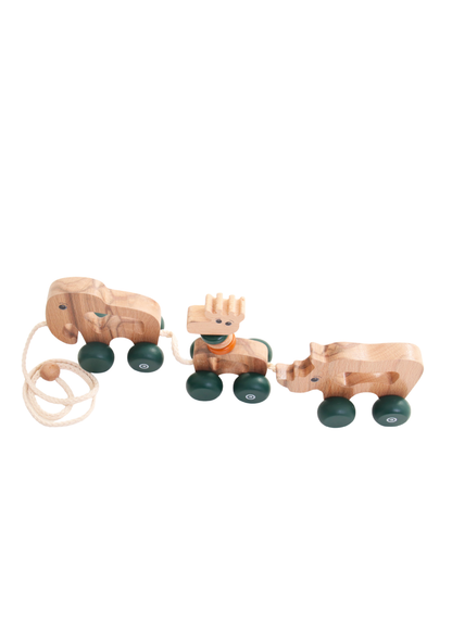 Wooden Pull Along Animal Toy Set | Safari
