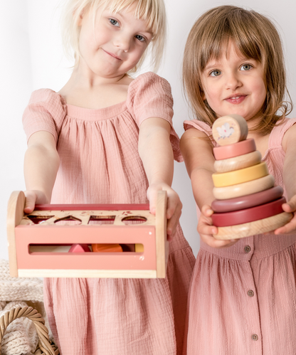 Shape Sorter ~ Bebe Pure