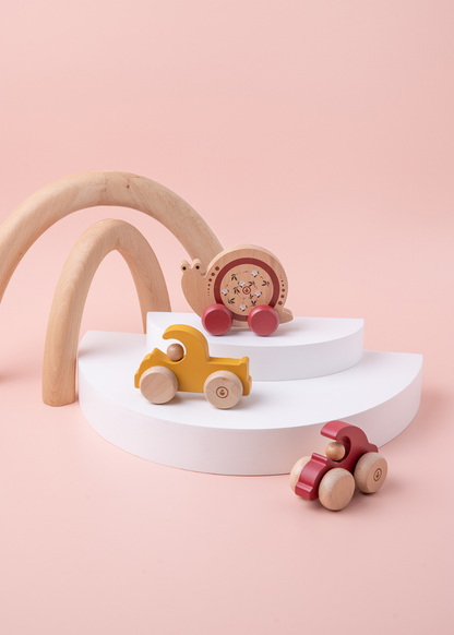 Snail Push Toy
