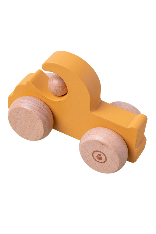 Bakkie / Truck Push Car