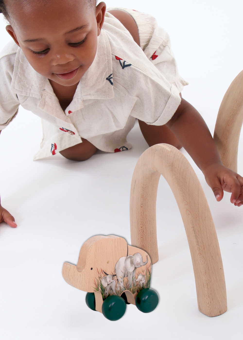 Elephant Push Toy