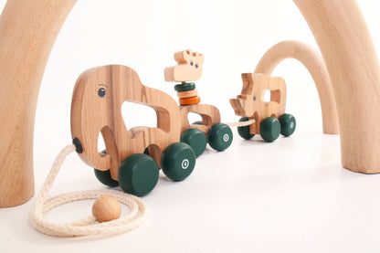 Wooden Pull Along Animal Toy Set | Safri