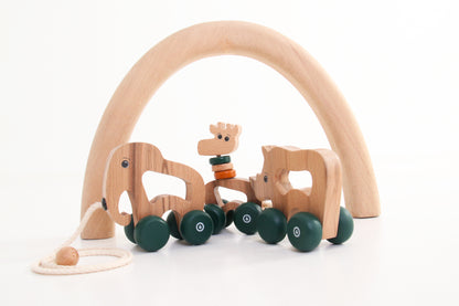 Wooden Pull Along Animal Toy Set | Safri