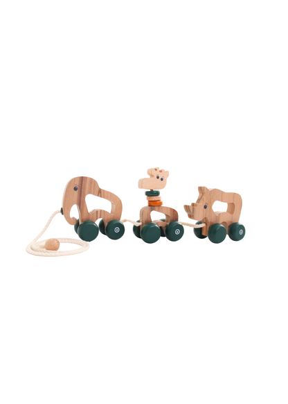 Wooden Pull Along Animal Toy Set | Safri