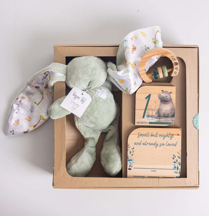 Baby Gift Set featuring a bunny plush, milestone disks, and a rattle in a stylish presentation box.